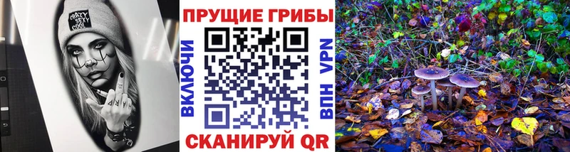 Галлюциногенные грибы GOLDEN TEACHER  OMG ТОР  Сольцы  купить закладку 