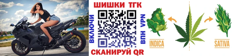 MEGA как войти  магазин продажи наркотиков  Сольцы  Бошки Шишки сатива 